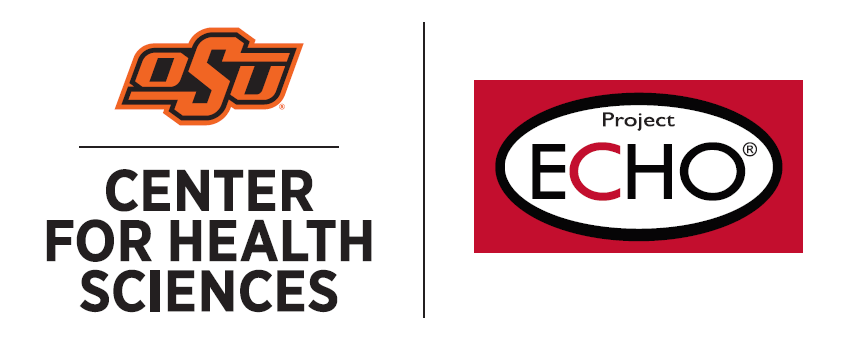 osu chs and project echo duel logo