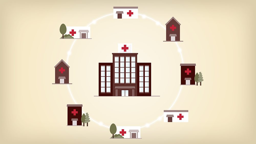 RWJF ECHO Knowledge Network Graph