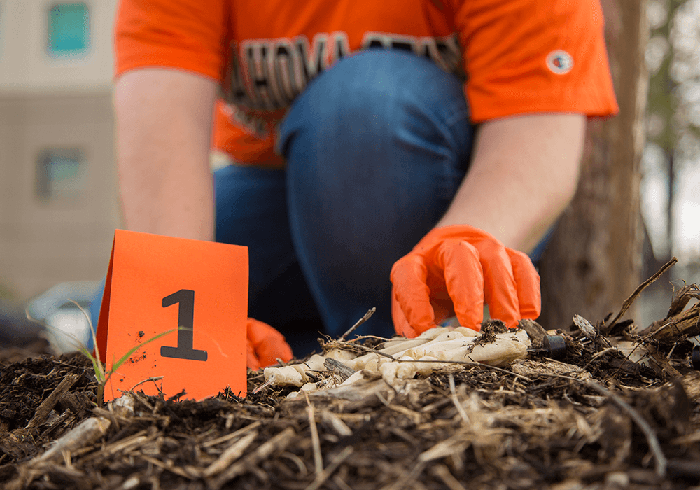 A forensic science student works with bones at the Oklahoma State University Center for Health Sciences