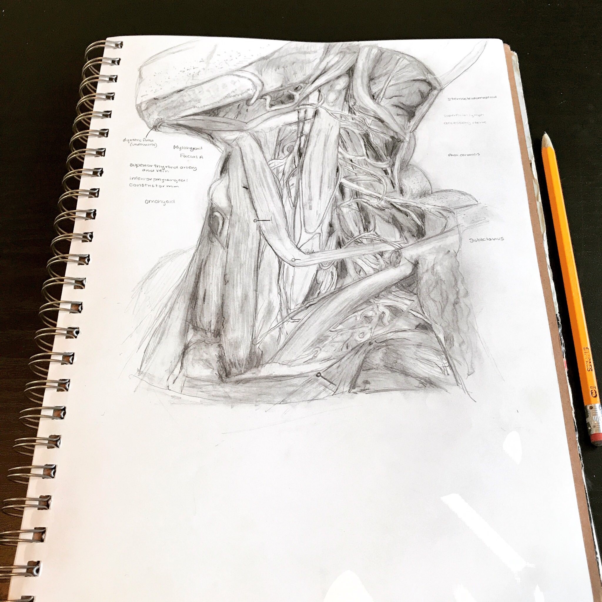 porbeski paper three