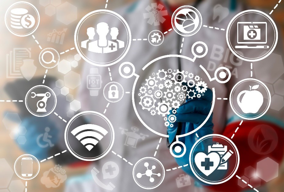 Get experience for a wide variety of healthcare professions.