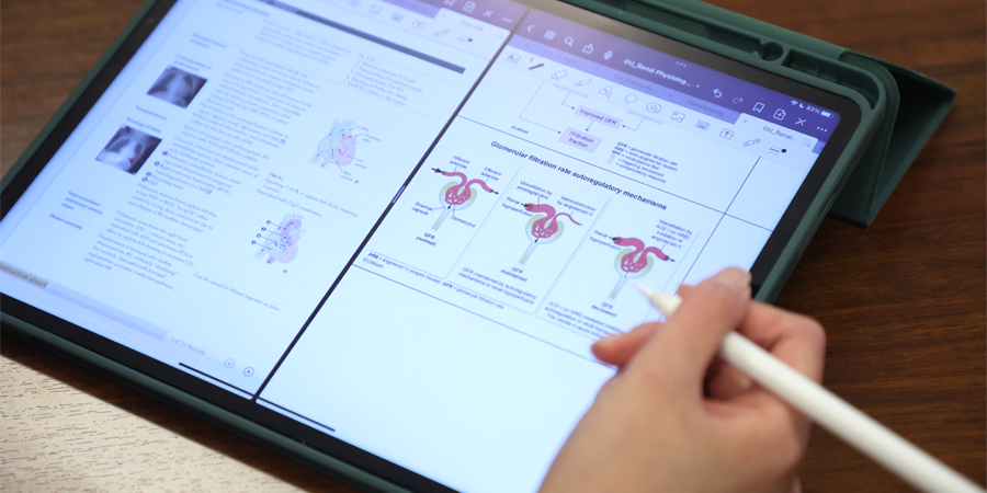 Academic coaching image