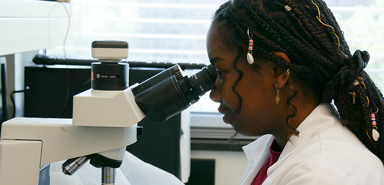 This is an image of a young girl looking into a microscope in one of our labs.