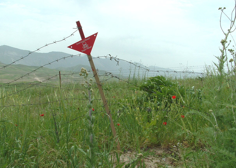 This is alt text for the image