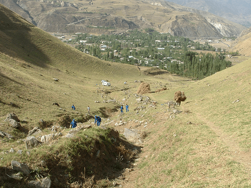 This is alt text for the image