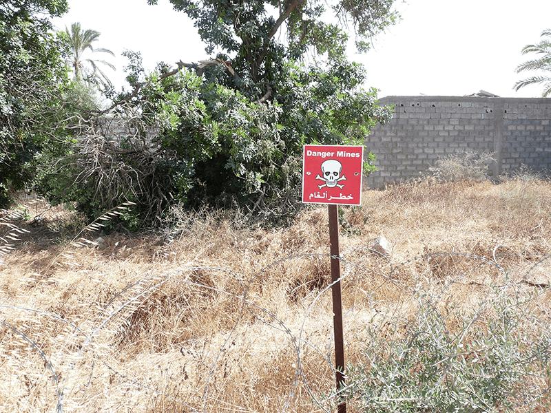 This is alt text for the image