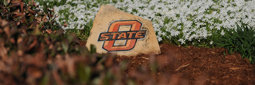 This is alt text for the image