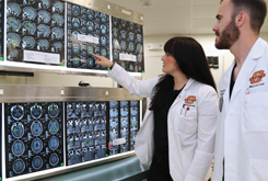 This is alt text for the image