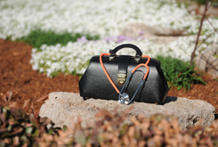 This is alt text for the image