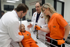 This is alt text for the image