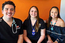 This is alt text for the image