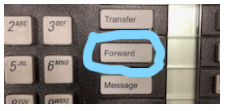 phone forward example